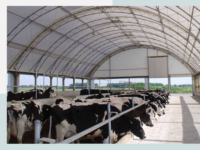 Тентовые коровники в Сарове